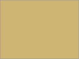 kzR[|[V F㎿  A3 T  1000