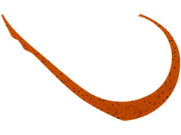 WbJ rrXCb`T+lN^C}CNJ[[Ch #R[