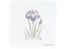 A[ebN aR[X^[ lG p^ 50 WCO-K4 