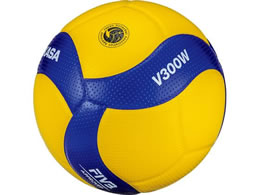 ~JT یF 苅 5 u[^CG[ V300W