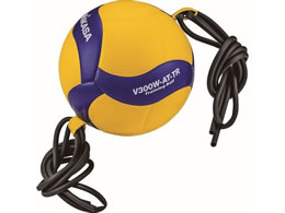 ~JT g[jO{[ 5 u[^CG[ V300W-AT-TR