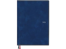 _CS[ 2025 A|Cg fXN B6 1Wo[`J lCr[ E1669