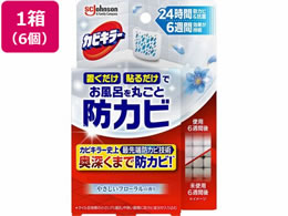 �W�����\�� �J�r�L���[ �u�������h�J�r�W�F�� �t���[���� �{�́~6��