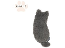 iJoV ˂̂ XgXg ~j DVA NNS-WR01GY