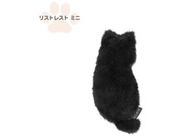 iJoV ˂̂ XgXg ~j lR NNS-WR01BK