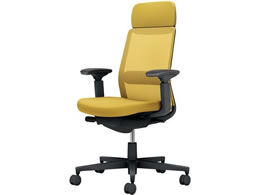 �R�N�� ���l�b�g ���I �I���[�u�C�G���[