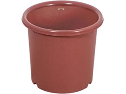 LIV PLUS xXgR Aؔ  |bg 8 eRb^