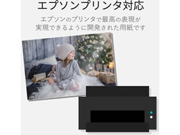 エレコム ハガキ用紙 光沢 厚手 エプソン用 100枚 Ejh Egnh100 Forestway 通販フォレストウェイ