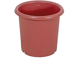 LIV PLUS xXgR Aؔ  |bg 10 eRb^