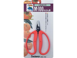 �ߐ� �݂����� ��^���n BP M-100