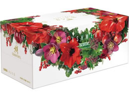 NVA XRbeBJV~ NX}X2025 220g