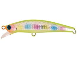 WN\ se[TSV`[ 28g CCN `[gLfB[