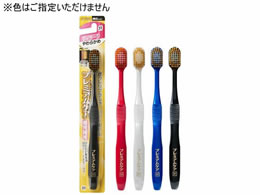 GrX v~APAnuV 6񃉁[W 炩