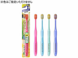 GrX v~APA C 5RpNg ӂ