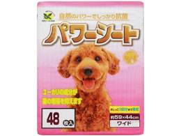 �T�m�e�b�N �p���[�V�[�g ���C�h 48��