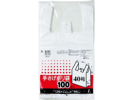 P~JWp 񂰃| L 100 SB-40