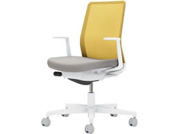 RN lbg L^I wʐF CgO[^I[uCG[