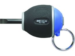 AlbNX X^r[^Cvh~hCo[ [6~25 1780-6-25