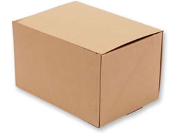 �V���W�} �l�I�N���t�g �P�[�LBOX 10.5�~15 20�� 4248401