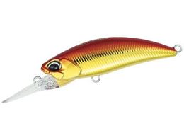 fI TW ggVbh48S #ASA0026 AJL