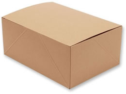 �V���W�} �l�I�N���t�g �P�[�LBOX 15�~21 20�� 4248403