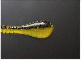 issei �X�p�e�� 4 #12 ���G�r