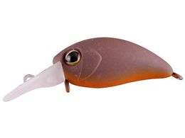 �W���b�J�� JK ���уp�j�N�� SR #�_�_�[�N�A�[�X