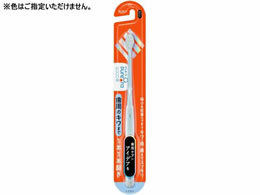 KAO sI[36500 nuV 1{1{ ӂ