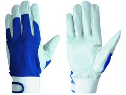 �V����/�؊v�b���b�V�������}�W�b�N�t 129�ؔ�