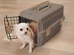 アイリスオーヤマ エアトラベルキャリー 超小型犬 猫用 ブラウン Atc 460 Forestway 通販フォレストウェイ アイリスオーヤマ エアトラベルキャリー 超小型犬 猫用 ブラウン Atc 460 Forestway 通販フォレストウェイ