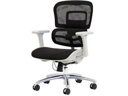 Netforce �_�C�i�~�N�XPro�`�F�A �w�b�h���X�g�E�t�b�g���X�g�Ȃ� �u���b�N