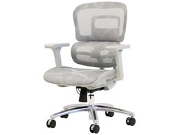 Netforce �_�C�i�~�N�XPro�`�F�A �w�b�h���X�g�E�t�b�g���X�g�Ȃ� �O���[