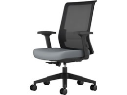 �R�N�� �G���g���[2�@�`�F�A�[ �w�u���b�N�E���O���[ �����r �I�t �i�C����