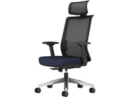 �R�N�� �G���g���[2�@�`�F�A�[ �w�u���b�N�E���u���[ �I�E�w�b�h���X�g�t �i�C����