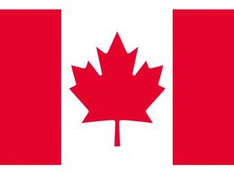 ��������/���� �J�i�_