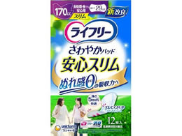 Ct[ ₩pbhX ԖłS 170cc 12