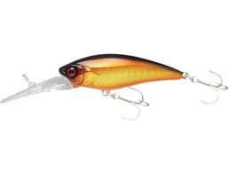 WbJ JK fB[rVbh 55SR #_uNb`