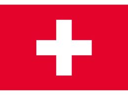 ��������/���� �X�C�X