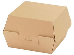 �V���W�} NF�l�I�N���t�g �o�[�K�[BOX L 20�� 4248315