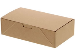 �V���W�} NF�l�I�N���t�g �R���p�N�gBOX S 20�� 4248300