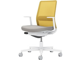 RN lbg L^I wʐF CgO[^I[uCG[