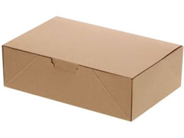 �V���W�} NF�l�I�N���t�g �R���p�N�gBOX L 20�� 4248302