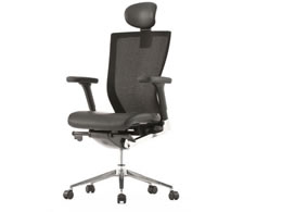 FURSYS T50�G�O�[�N�e�B�u�`�F�A RFC-T50EX