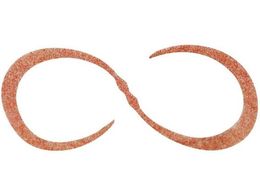 WbJ JK rrT+lN^CJ[[ #F214