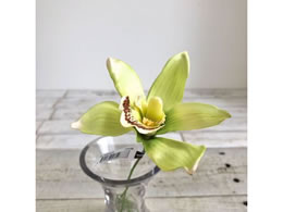 AXJ VrW[ CgO[ 72-34423-152