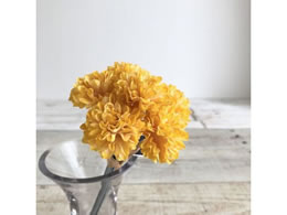 �A�X�J �|���|���}���o���h��(1��6�{) �S�[���h�C�G���[ 72-34240-40Y