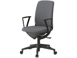 �C�g�[�L �g���eU �n�C�o�b�N�I�t PV���n �E���^�� ���~�_�[�N�O���[