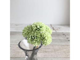 �A�X�J �|���|���}���o���h��(1��6�{) ���C�g�O���[�� 72-34240-52B