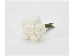 �A�X�J �|���|���}���o���h��(1��6�{) �z���C�g 72-34241-1