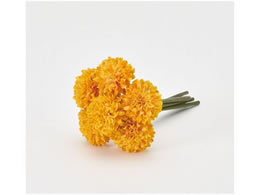 �A�X�J �|���|���}���o���h��(1��6�{) �S�[���h�C�G���[ 72-34241-40Y